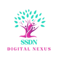 SSDN Digital Nexus Logo